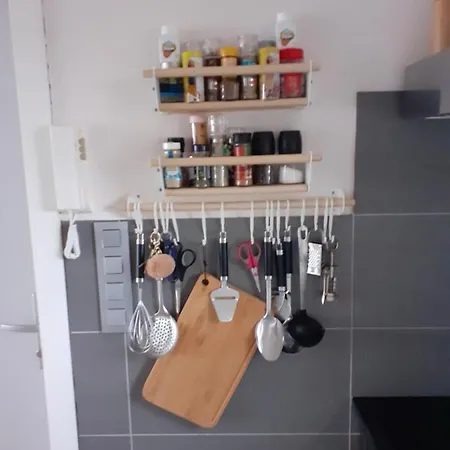Apartament Gezellig Centraal Gelegen Penthouse Ostenda